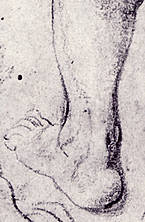 Rubens Drawings, DOVER