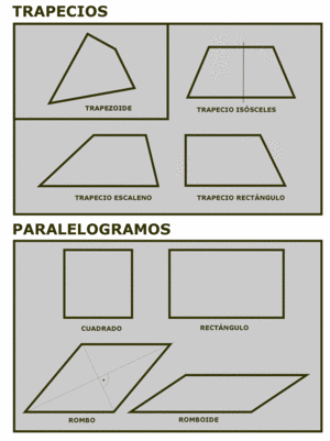 Cuadriláteros.