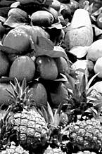 La misma imagen en blanco y negro.