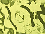 fotolito amarillo
