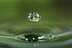 Fotografía con macro