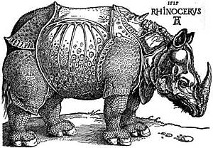 Imagen de la obra Histoire naturelle de Buffon editada en el siglo XVIII. Grabado por Alberto Durero.