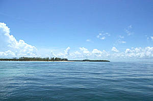 Paisaje azul