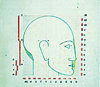 ESQUEMA DE LAS PROPORCIONES DE LA CABEZA HUMANA. Ilustración de Hajo Rose, 1932 (tinta china de color sobre papel).