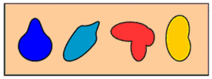 Formas orgánicas.