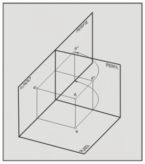 Perspectiva para ilustrar la vista de perfil.