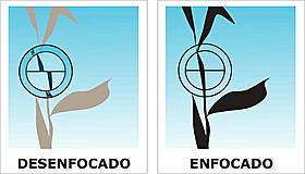 Dispositivo de enfoque.