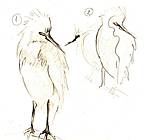 Boceto inicial