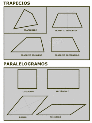 Clasificación de cuadriláteros