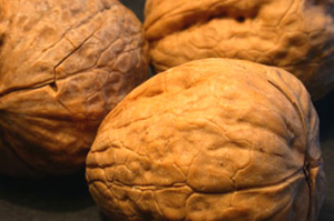 Textura rugosa de las nueces