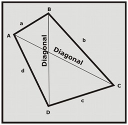 Cuadrilátero y sus diagonales.