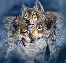 Imagen de Steven Michael Gardner .Seven wolves.