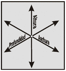 Tres dimensiones del espacio: altura, anchura y profundidad.