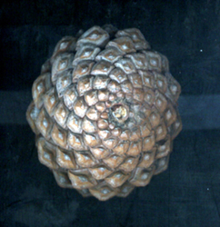 Piña de pino con iluminación ténue