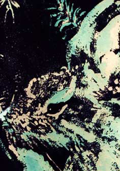 Falso grabado en color