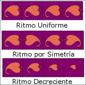 Ritmo uniforme, por simetría y decreciente