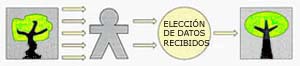 La representación convencional.