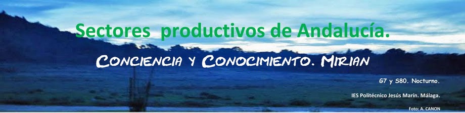 Sectores__productivos_de_Andaluca