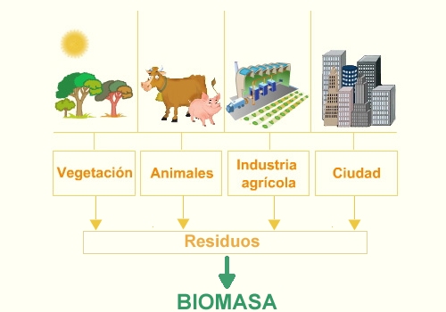 biomasa