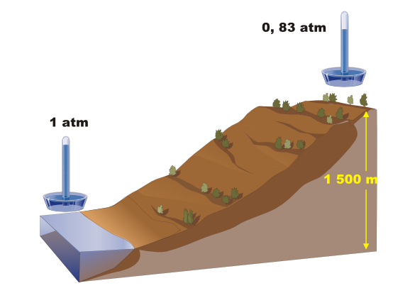 Jos� Alberto Berm�dez. ITTE