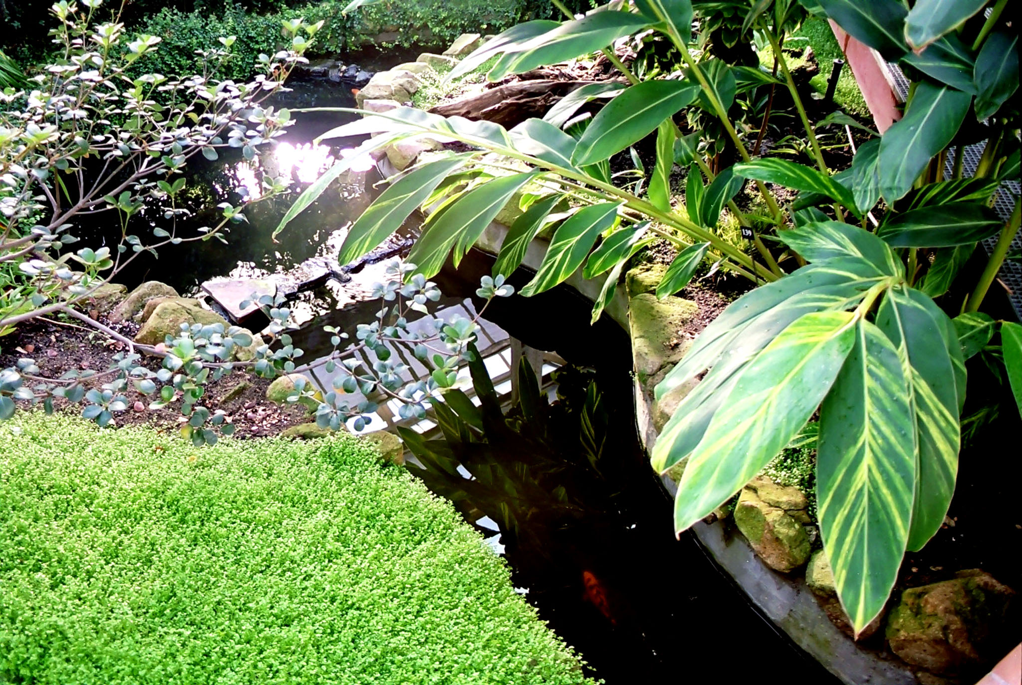 Banco im�genes ITE