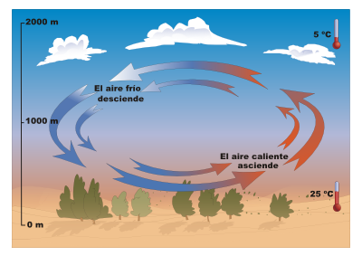Autor ilustraci�n: Jos� Alberto Berm�dez. Banco Im�genes ITE.