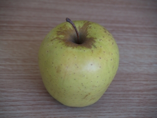 29694__789_m_1.jpg
