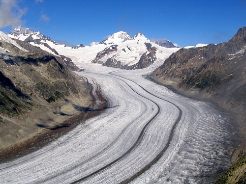 alesch