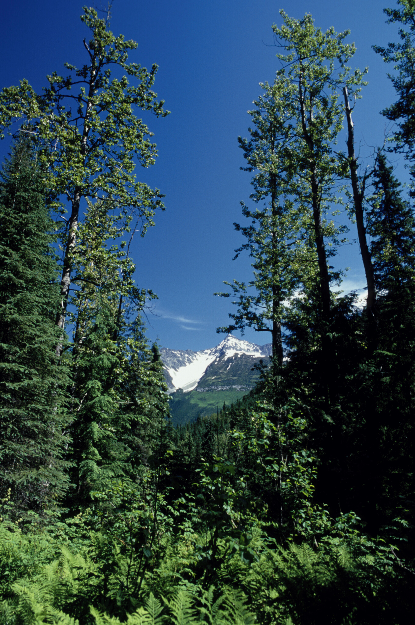 paisaje naturaleza